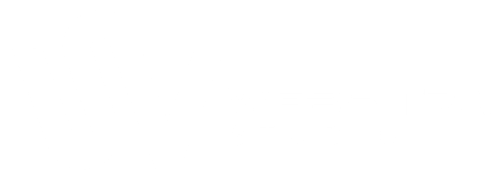 Websitra Studio